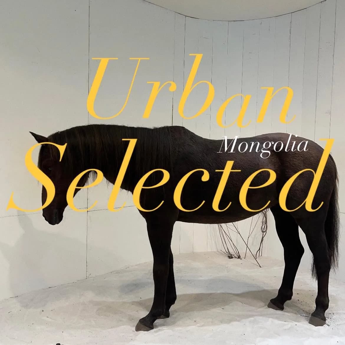 Urban.Selected.Mongolia